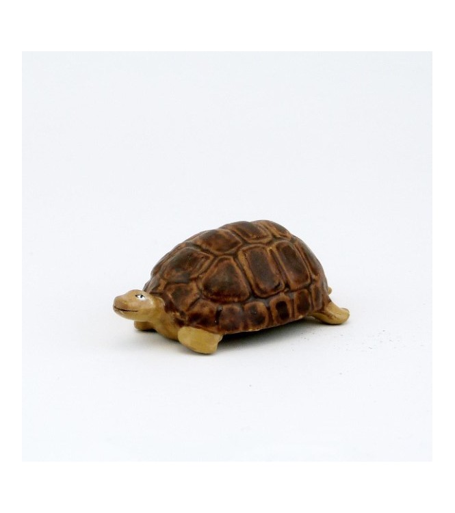 Tortue