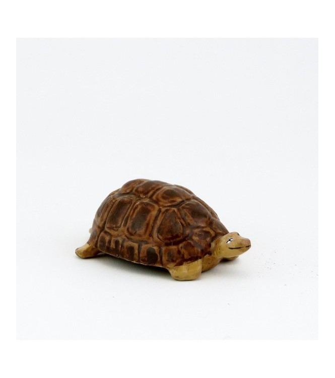 Tortue