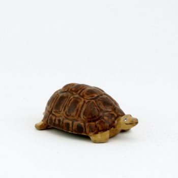 Tortue