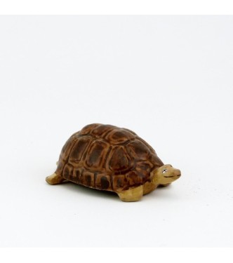 Tortue