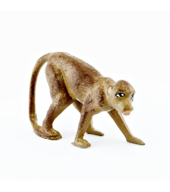 Singe sur ses 4 pattes