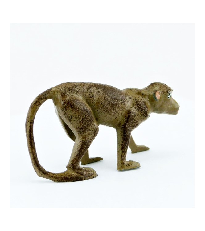 Singe sur ses 4 pattes