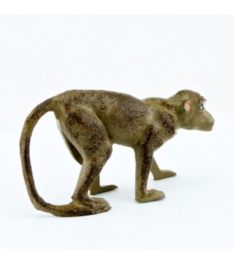 Singe sur ses 4 pattes