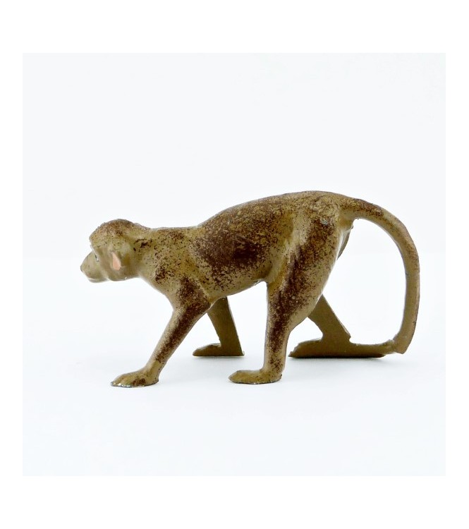 Singe sur ses 4 pattes