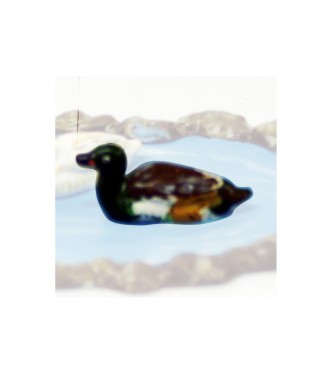 Canard nageant marron