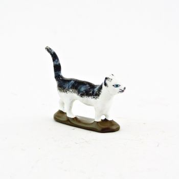 Chat blanc et gris