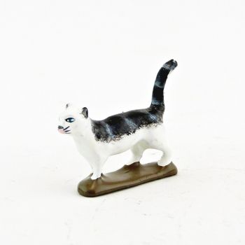 Chat blanc et gris