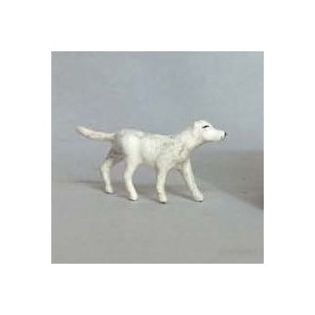 Chien blanc et marron