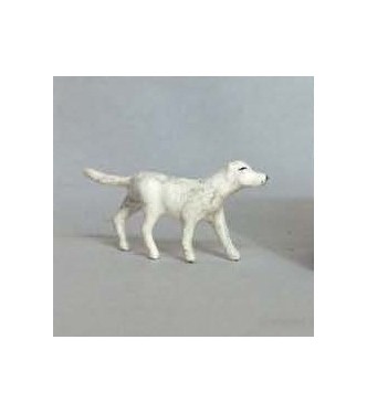 Chien blanc et marron