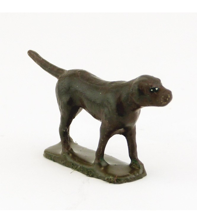 Chien marron foncé
