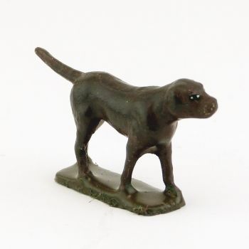 Chien marron foncé