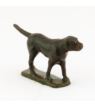 Chien marron foncé