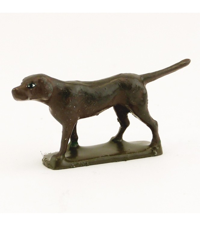 Chien marron foncé
