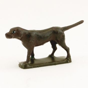 Chien marron foncé