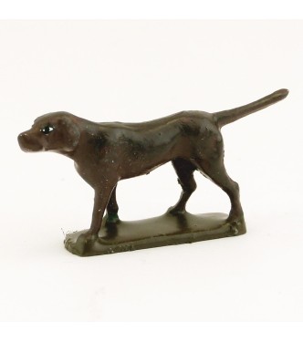 Chien marron foncé