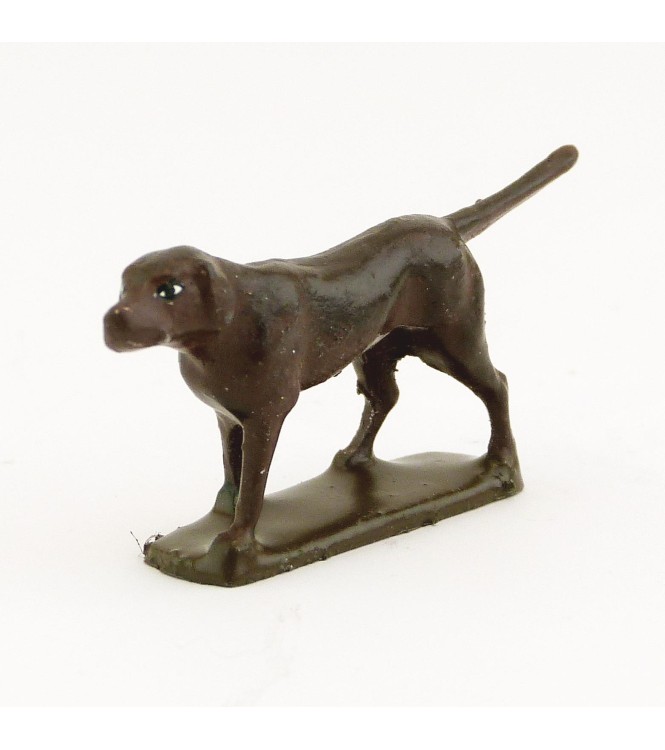 Chien marron foncé