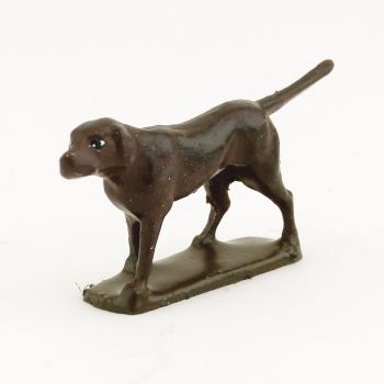 Chien marron foncé