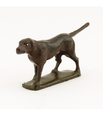 Chien marron foncé