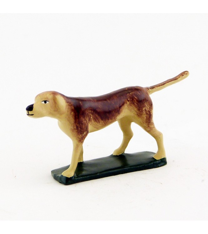 Chien marron clair