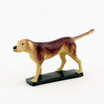 Chien marron clair