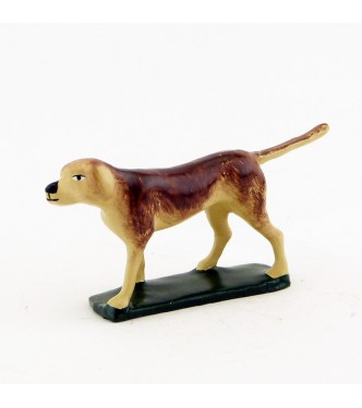 Chien marron clair