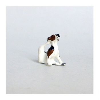 Chien de chasse à courre (Beagle) assis se grattant l'oreille