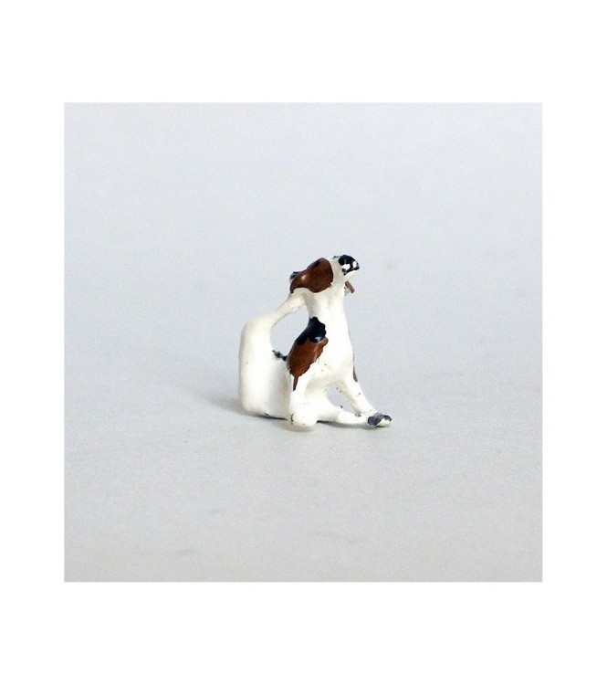 Chien de chasse à courre (Beagle) assis se grattant l'oreille