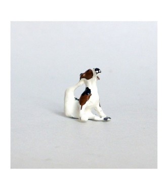 Chien de chasse à courre (Beagle) assis se grattant l'oreille