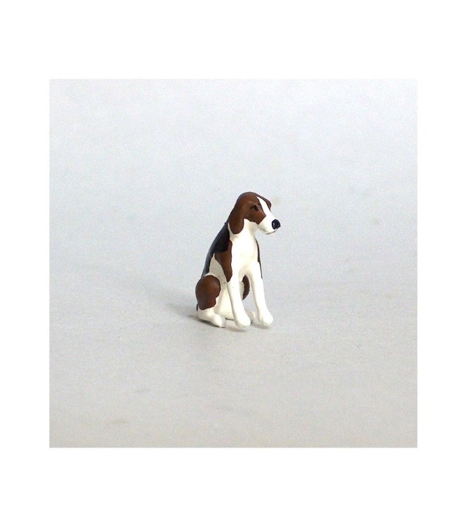 Chien de chasse à courre (Beagle) assis