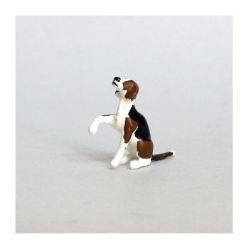 Chien de chasse à courre (Beagle) assis donnant la patte