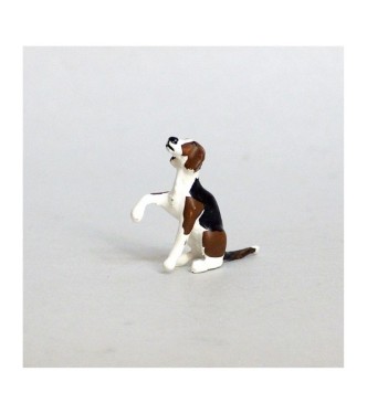 Chien de chasse à courre (Beagle) assis donnant la patte