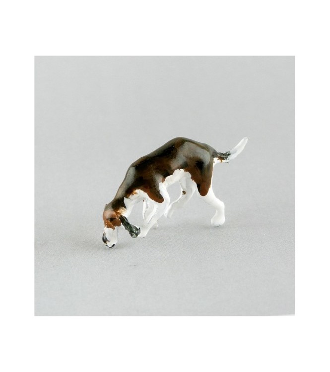 Chien de chasse à courre (Beagle) reniflant