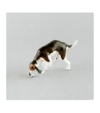 Chien de chasse à courre (Beagle) reniflant