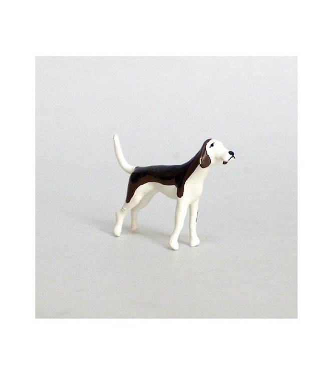 Chien de chasse à courre (Beagle) debout tête en l'air