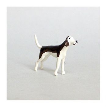 Chien de chasse à courre (Beagle) debout tête en l'air