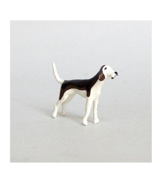 Chien de chasse à courre (Beagle) debout tête en l'air