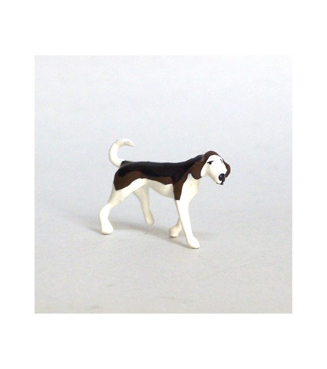 Chien de chasse à courre (Beagle) gueule vers la droite