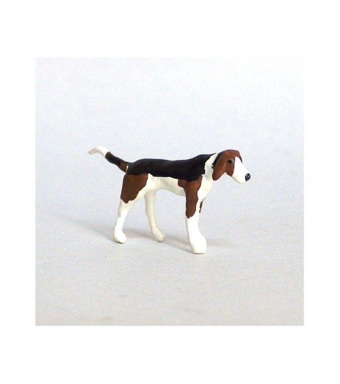 Chien de chasse à courre (Beagle) debout