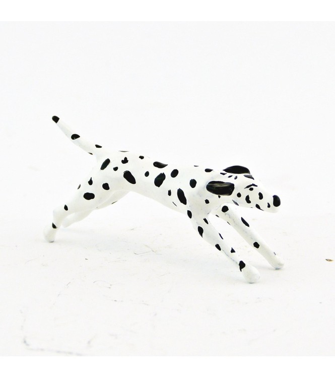 Dalmatien courant