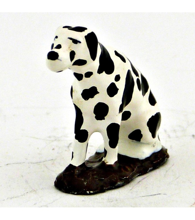 Dalmatien assis