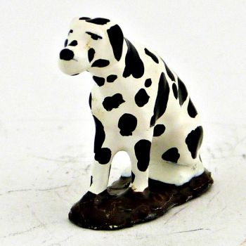 Dalmatien assis