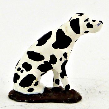Dalmatien assis