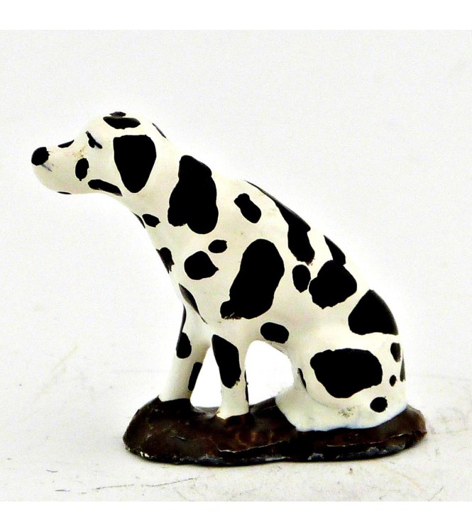 Dalmatien assis