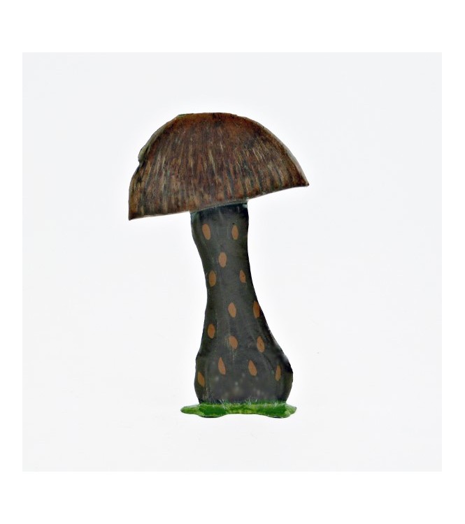 Grand champignon préhistorique (h. 10,5 cm)