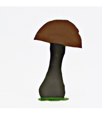 Grand champignon préhistorique (h. 10,5 cm)