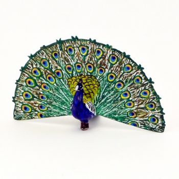 Paon faisant la roue