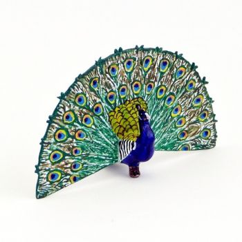 Paon faisant la roue