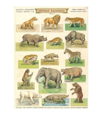 Animaux sauvages