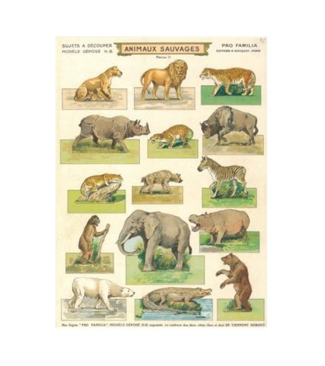 Animaux sauvages