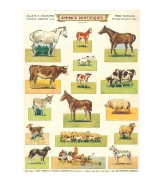 Animaux domestiques